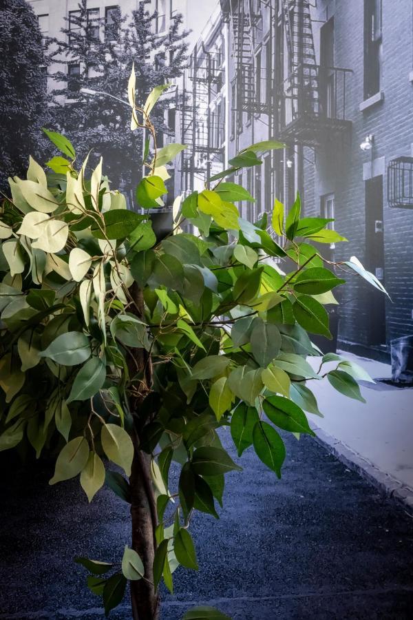 Superbe Appartement Avec Patio Nîmes Extérieur photo
